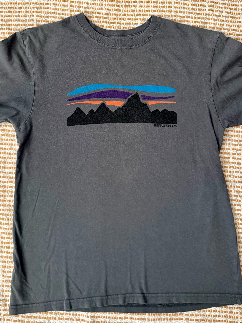 Patagonia Men’s Fitz Roy Banner Cotton Graphic Mountain T-Shirt